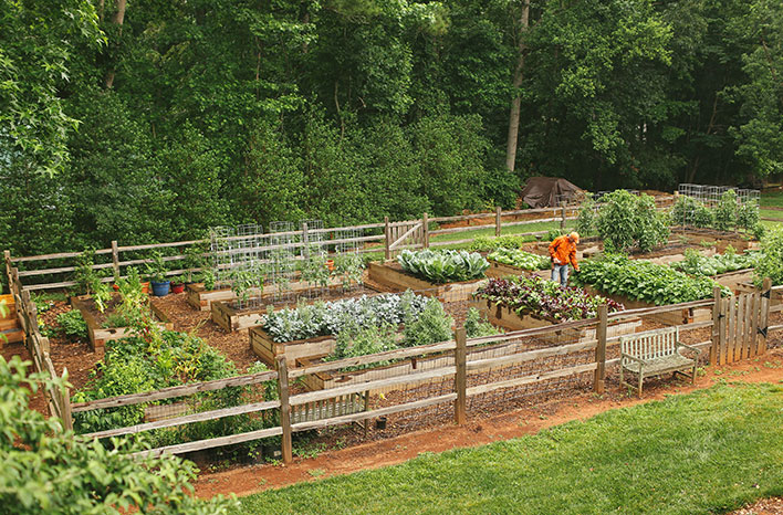 Organic Farming Support